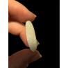 Opale Coober Pedy 6,00 carats