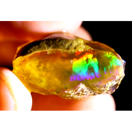 Opale brute crystal 55.50 carats
