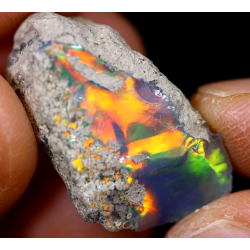 Opale brute ethiopienne TOP GRADE de 15.50 carats