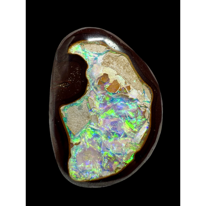 Exceptionnelle Boulder Noix de Yowah 79.20 carats