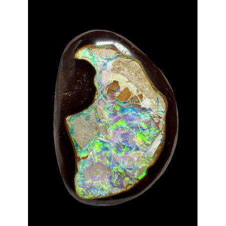 Exceptionnelle Boulder Noix de Yowah 79.20 carats