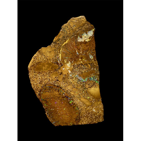 Opale Boulder Koroït 68.35 carats