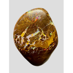 Opale Boulder Yowah 7.95 carats
