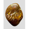 Opale Boulder Yowah 7.95 carats
