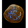 Opale Boulder bois fossilisé 118 carats