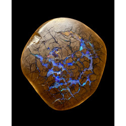 Opale Boulder bois fossilisé 118 carats
