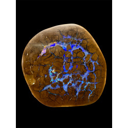 Opale Boulder bois fossilisé 118 carats