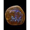 Opale Boulder bois fossilisé 118 carats