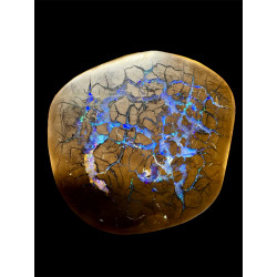 Opale Boulder bois fossilisé 118 carats