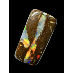 Opale Boulder bois fossilisé Koroït 11.20 carats