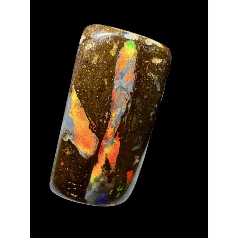 Opale Boulder bois fossilisé Koroït 11.20 carats