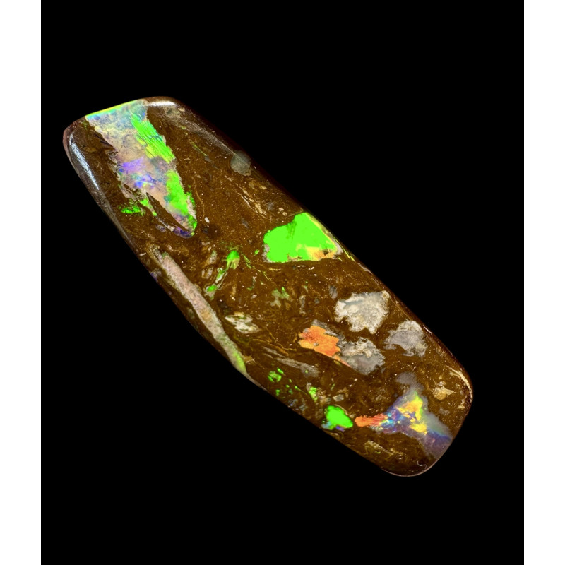 Opale Boulder bois fossilisé Koroït 31.30 carats