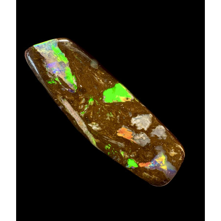 Opale Boulder bois fossilisé Koroït 31.30 carats