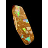 Opale Boulder bois fossilisé Koroït 31.30 carats