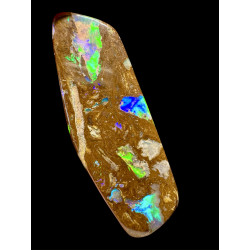 Opale Boulder bois fossilisé Koroït 31.30 carats