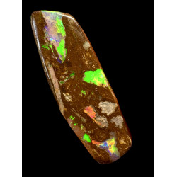 Opale Boulder bois fossilisé Koroït 31.30 carats