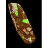 Opale Boulder bois fossilisé Koroït 31.30 carats