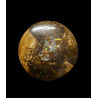 Opale Boulder Yowah 7.60 carats