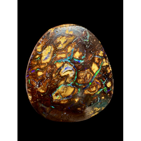 Opale Boulder Koroït 10.05 carats
