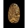 Opale Boulder Koroït  11,60 carats