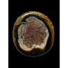 Opale Boulder Yowah 22.95 carats