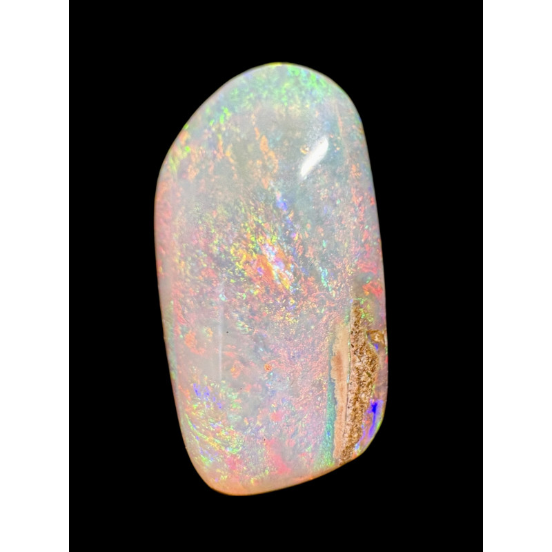 Opale Boulder bois fossilisé 18.85 carats