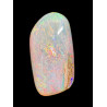 Opale Boulder bois fossilisé 18.85 carats