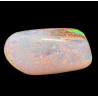 Opale Boulder bois fossilisé 18.85 carats