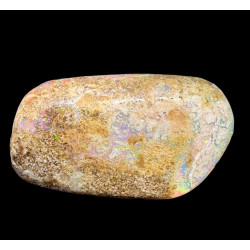 Opale Boulder bois fossilisé 18.85 carats