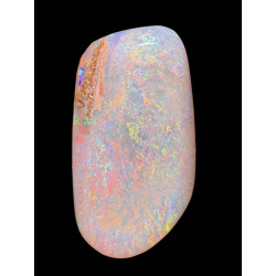 Opale Boulder bois fossilisé 18.85 carats
