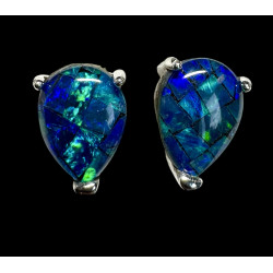 Boucles d'oreilles puces...