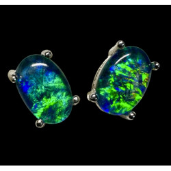 Boucles d'oreilles puces...