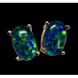 Boucles d'oreilles puces...
